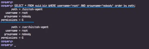 Список файлов с SUID