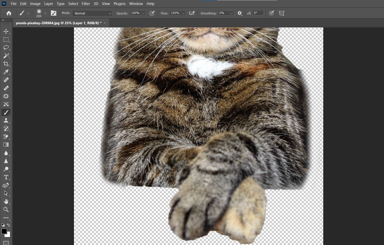 Коррекция маски кистью вокруг кота