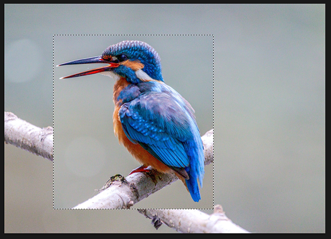 Пример фото с перевёрнутой областью
