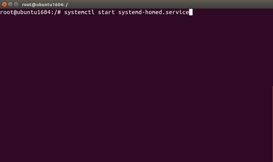 Команда systemctl в терминале для systemd-homed