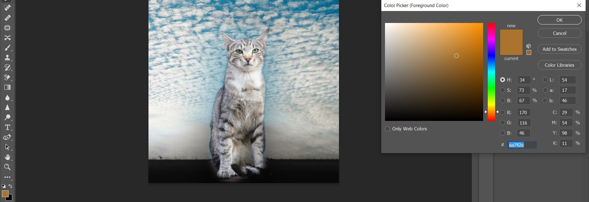 Выбор коричневого для гор