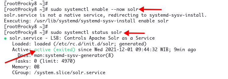 Запуск и включение Solr
