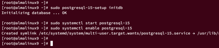 Инициализация PostgreSQL и запуск сервиса