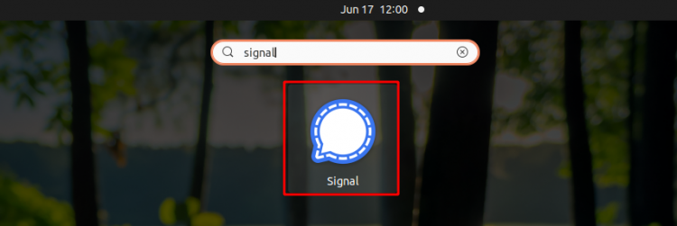 Запуск Signal через меню Обзор