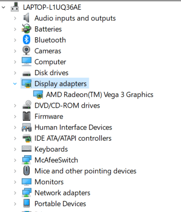 Список адаптеров дисплея в Диспетчере устройств