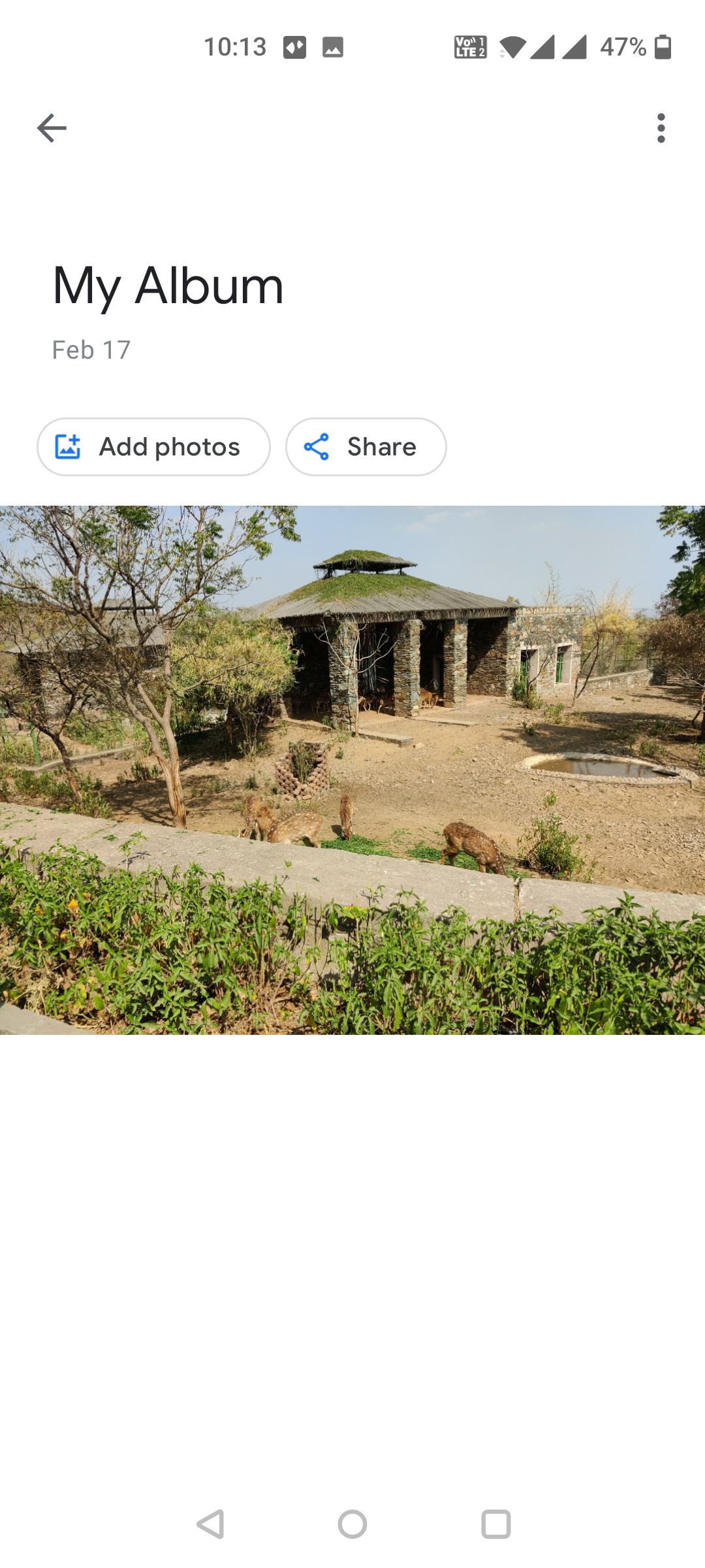 Альбомы в Google Photos на Android