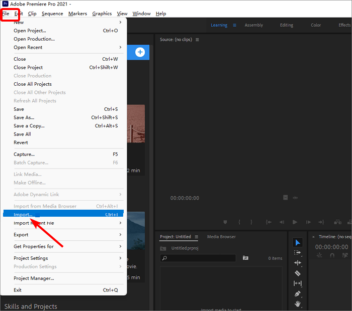 Окно импорта файла в Premiere Pro