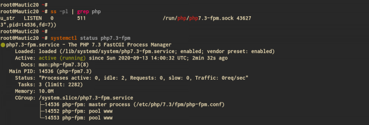 Проверка статуса PHP-FPM