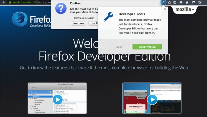 Firefox Developer가 실행된 화면