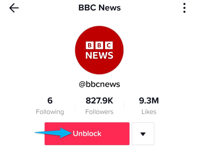 Кнопка Разблокировать на странице профиля