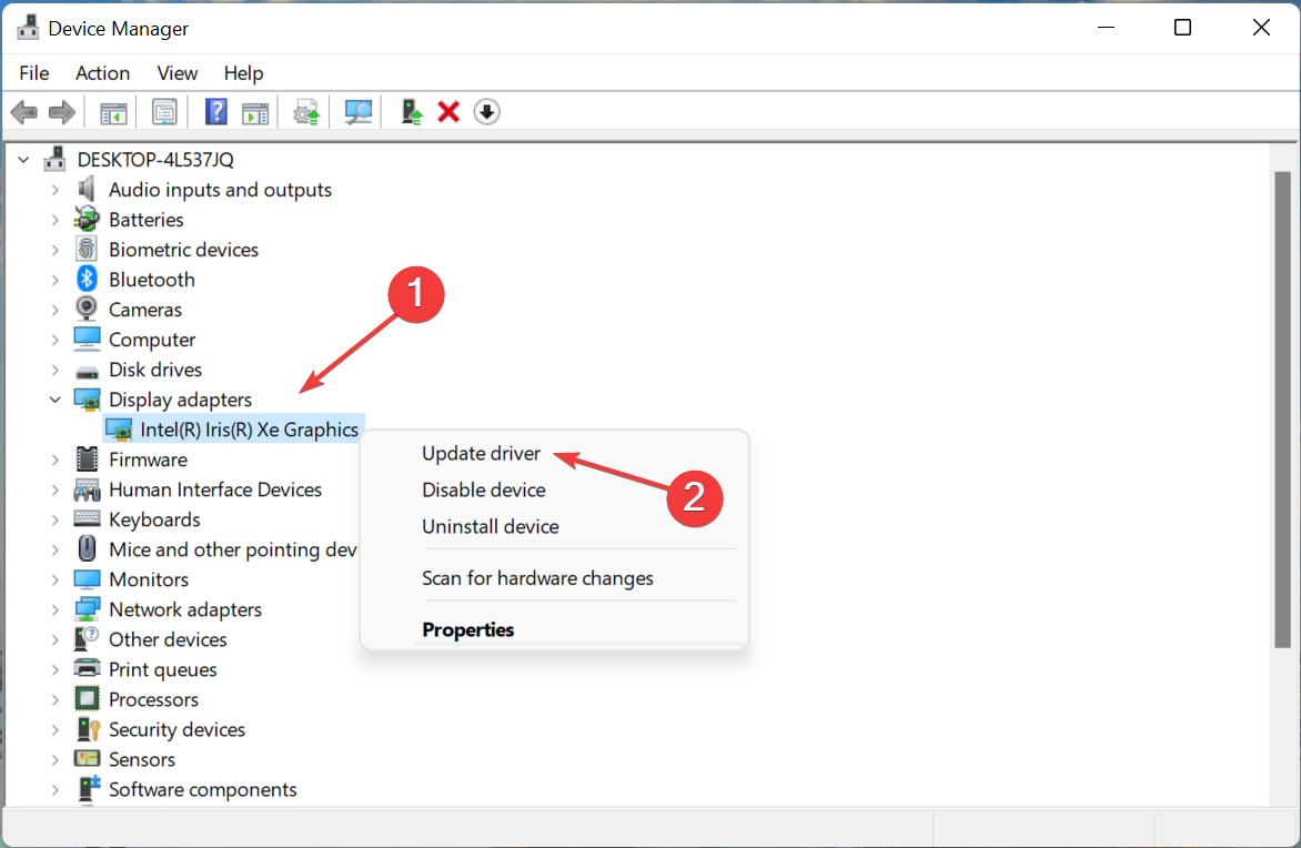 Выбор обновления драйвера в Диспетчере устройств