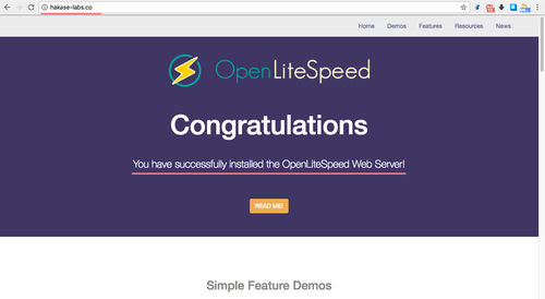 Дефолтная страница OpenLiteSpeed