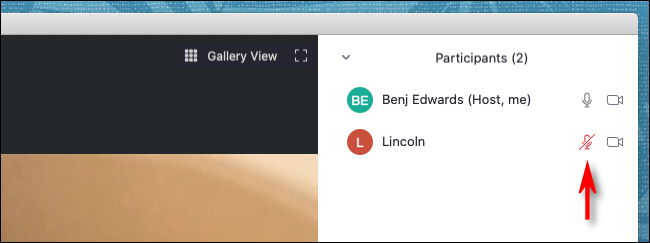 Знак микрофона с перечёркиванием рядом с именем участника