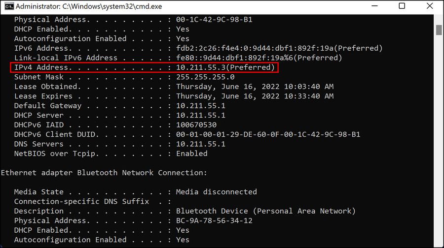 Отображение IPv4 в cmd