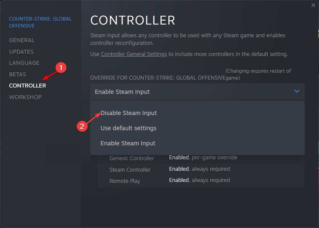 Disable steam as input