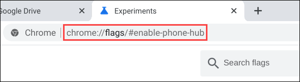 Откройте страницу флагов Chrome