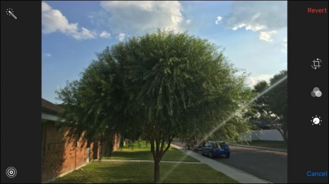 Экран с опцией восстановления оригинала Live Photo