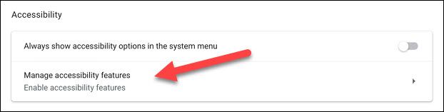 Выбор «Управление функциями специальных возможностей»