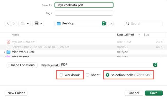 Опции Workbook и Selection для экспорта PDF из Excel на Mac