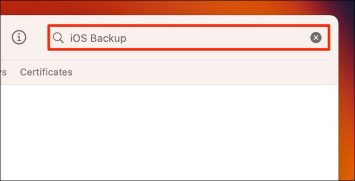 Поиск «backup» в окне Keychain Access
