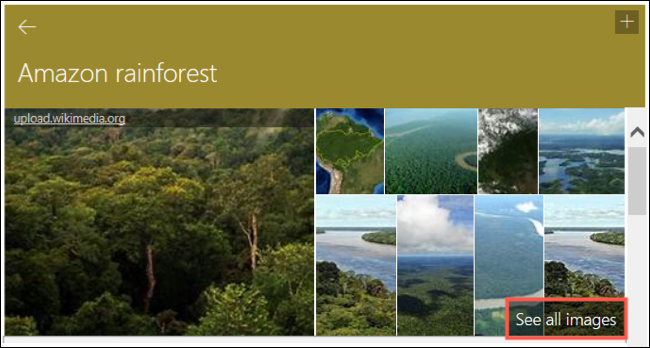 Нажмите Показать все изображения для темы