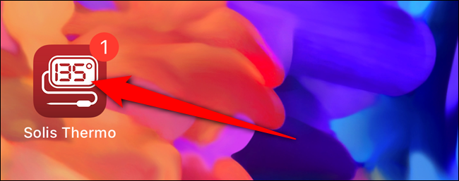 Приложение автоматически появится на главном экране iPhone