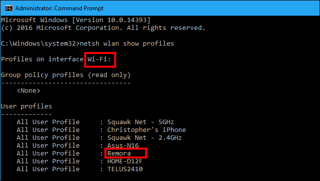 Список профилей через netsh с интерфейсом и именами сетей