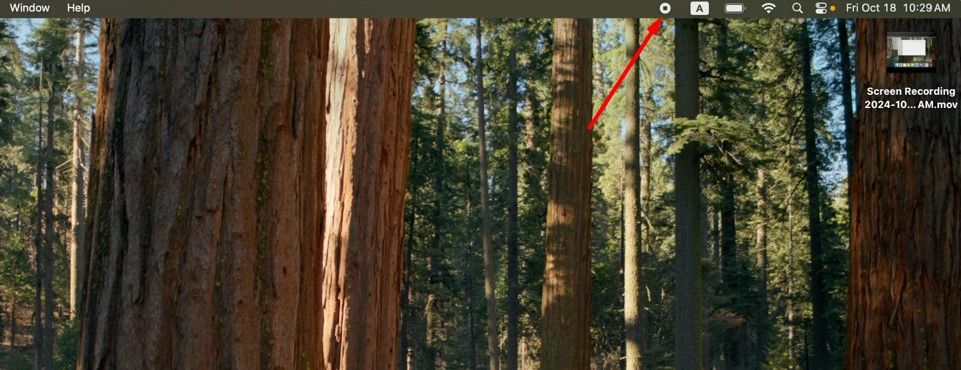 Кнопка остановки в QuickTime Player.