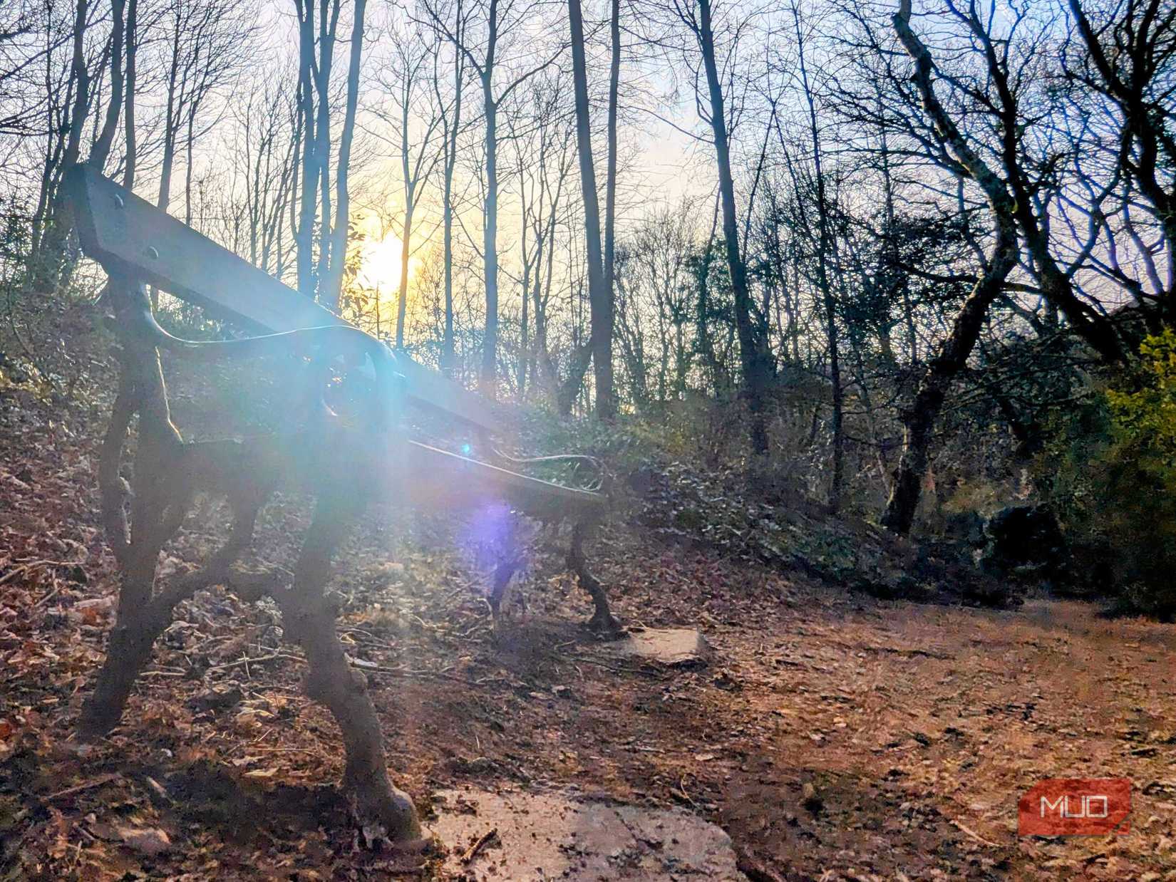 A low-angle shot of a bench in the park