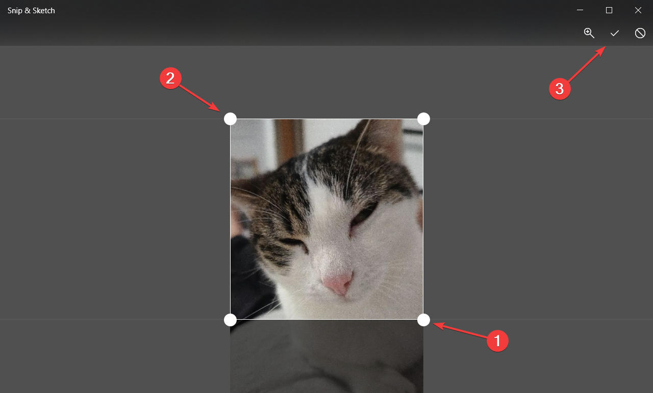 Подтверждение обрезки в Snip & Sketch