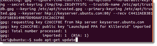 Окно терминала: sudo apt-get update — обновление репозиториев