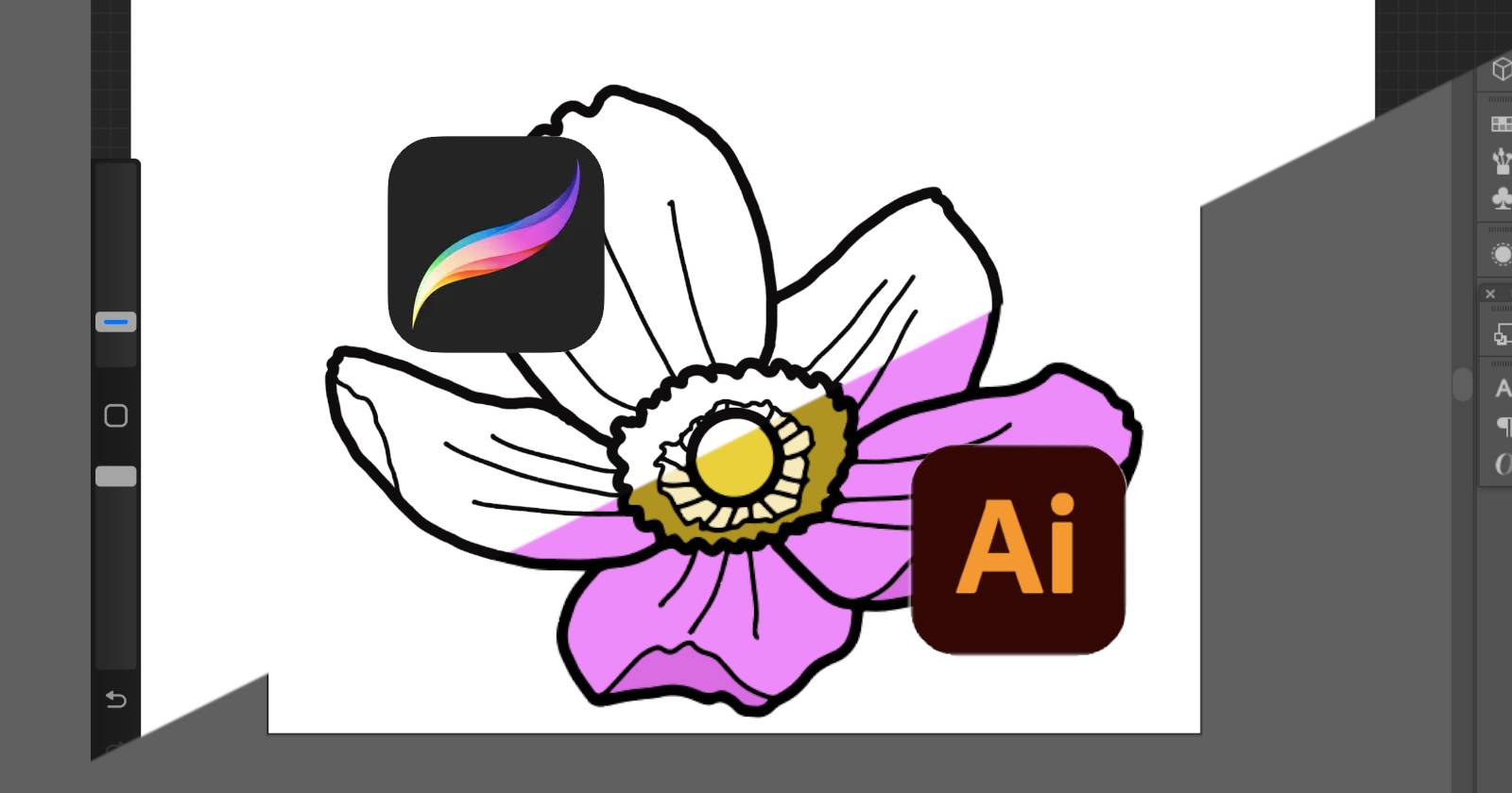 Диагональное изображение цветочной иллюстрации. Половина чёрно‑белая линия, половина цветная.