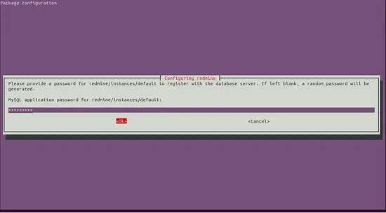 Ввод пароля MySQL для Redmine в конфигураторе