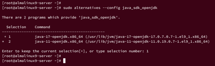 Переключение JDK OpenJDK