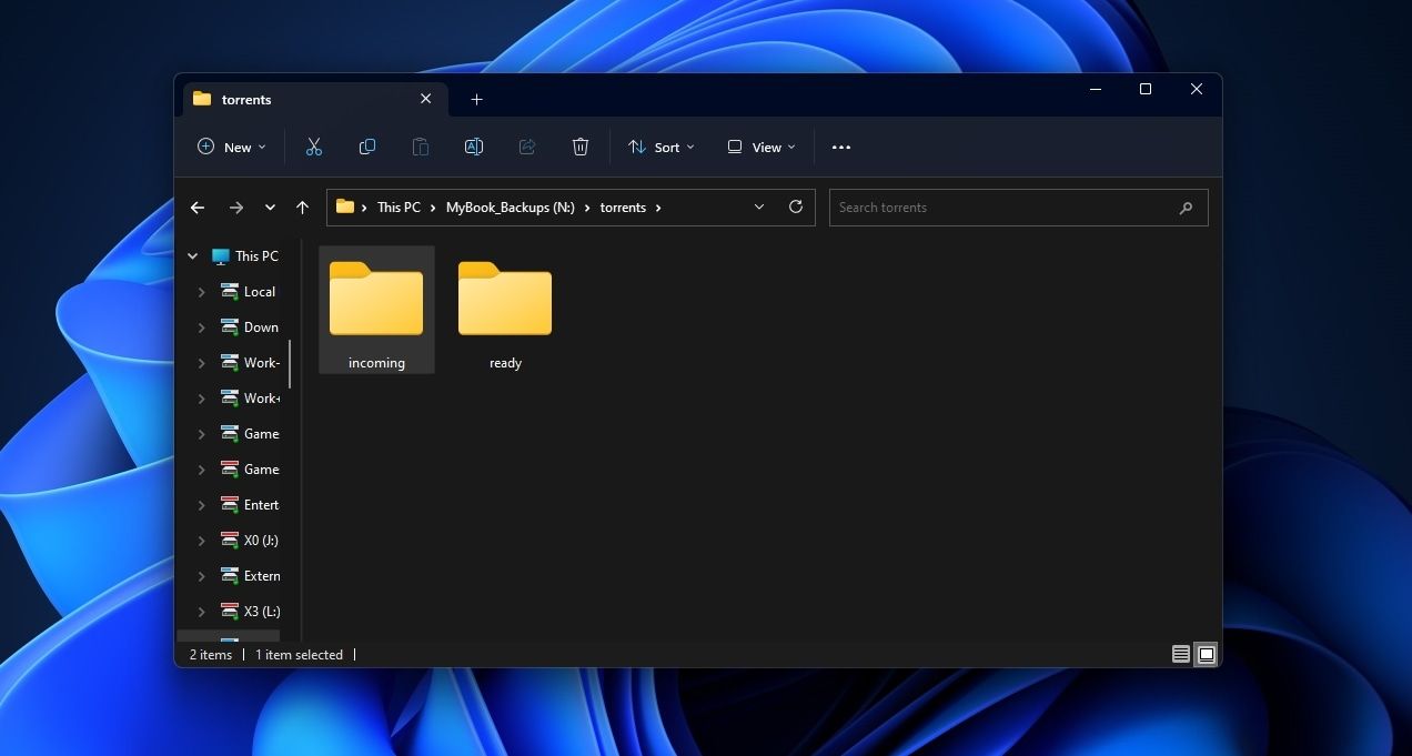 Место расположения файлов торрентов