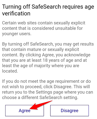 Кнопка Agree для подтверждения возраста на мобильном