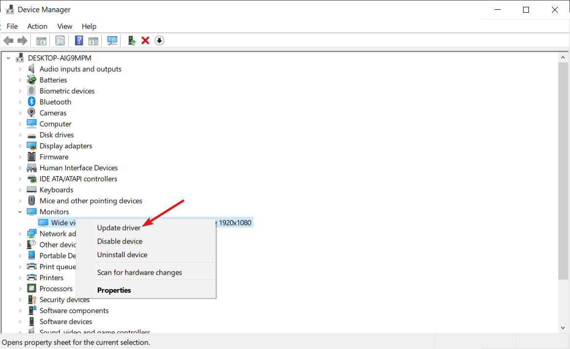 Обновление драйвера монитора в Диспетчере устройств