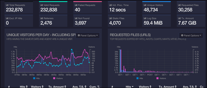 Веб-интерфейс GoAccess с графиками в реальном времени