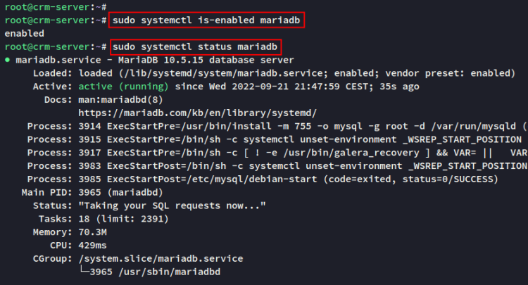 Проверка MariaDB
