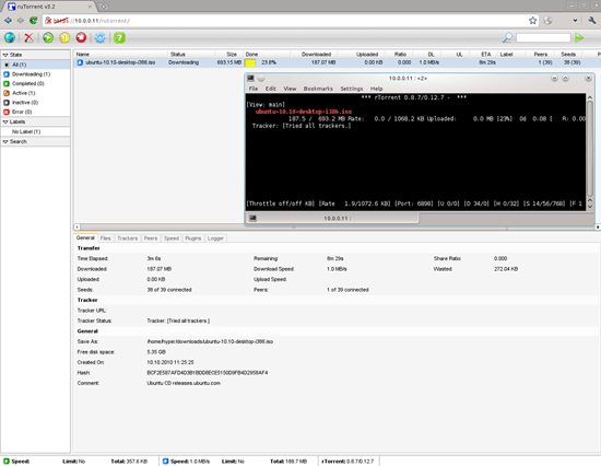 rTorrent + ruTorrent: настройка на сервере