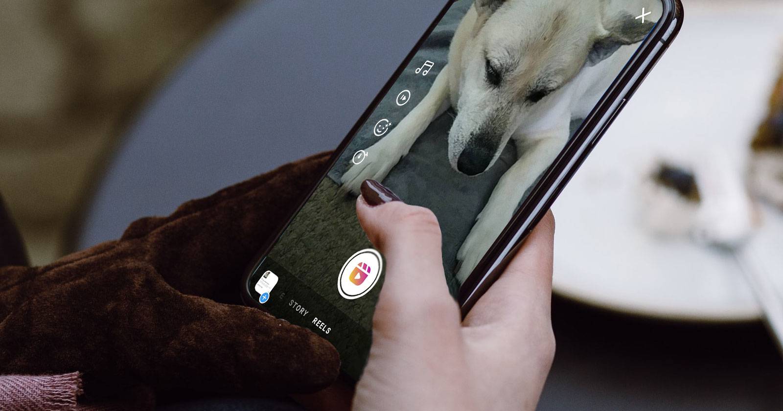 Как скачать видео Instagram Reels на устройство