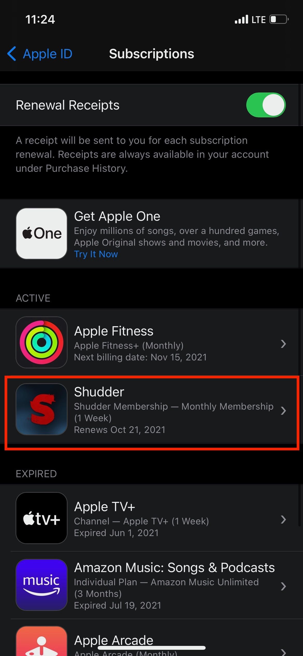 Экран раздела Подписки на iPhone