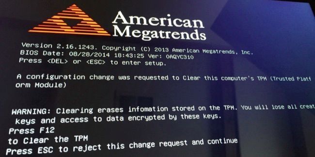 Клавиша F12 и клавиша Fn на клавиатуре Type Cover Surface