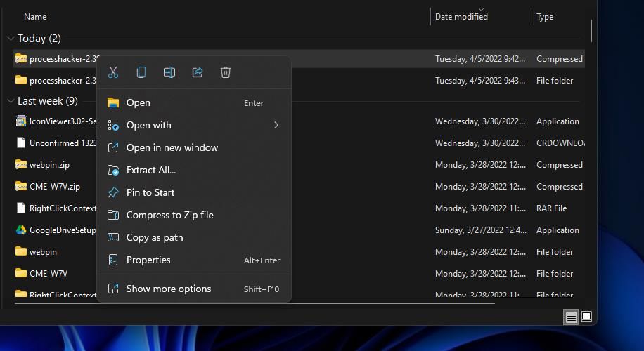Опция Extract All в Проводнике