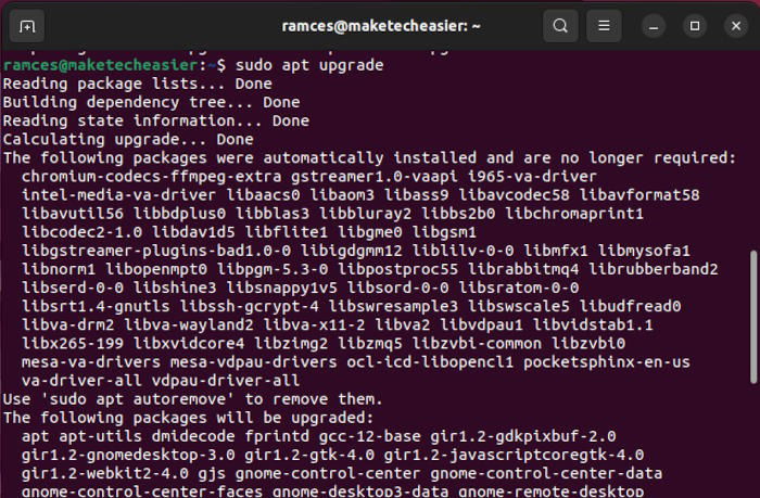Терминал: sudo apt update && sudo apt -y upgrade