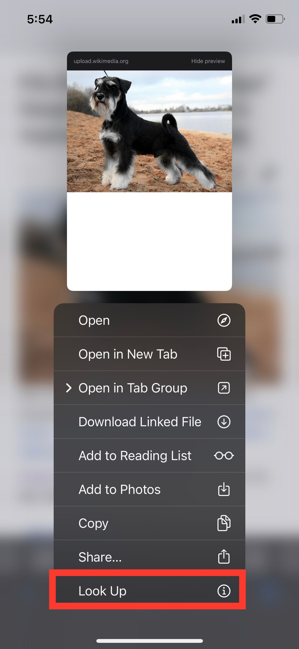Контекстное меню Safari с Look Up