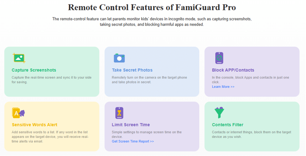 Иллюстрация дополнительных функций FamiGuard Pro