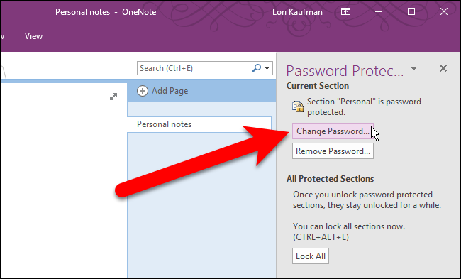Кнопка «Изменить пароль» в панели защиты