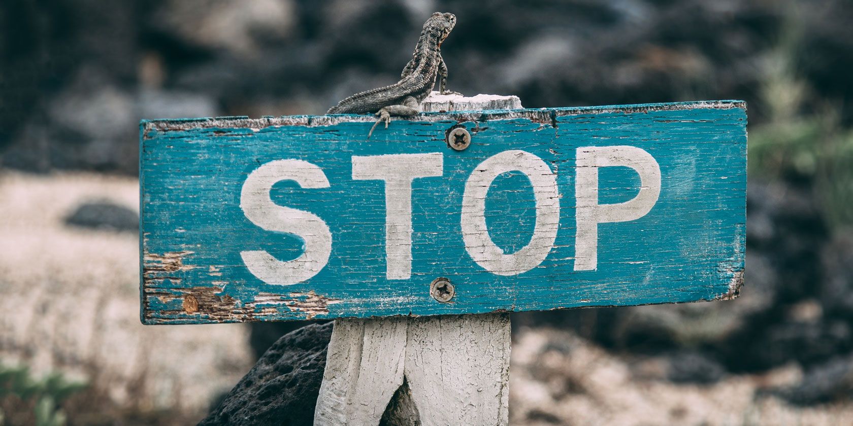 Как заблокировать сайты на Android — руководство