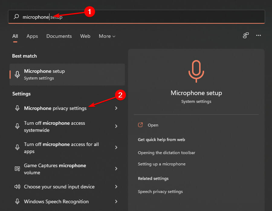 Параметры конфиденциальности микрофона